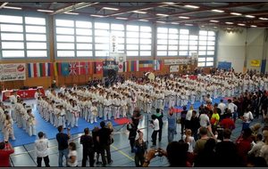 Shinkyokushin Swiss Open Juniors Championship 2013