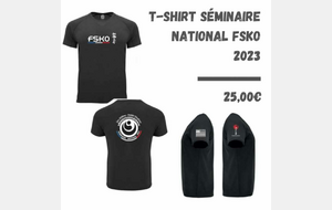 Séminaire FSKO 2023