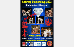 Diamond Cup Fullcontact Karate