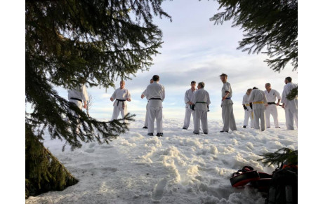 Stage Interne Yamabushi